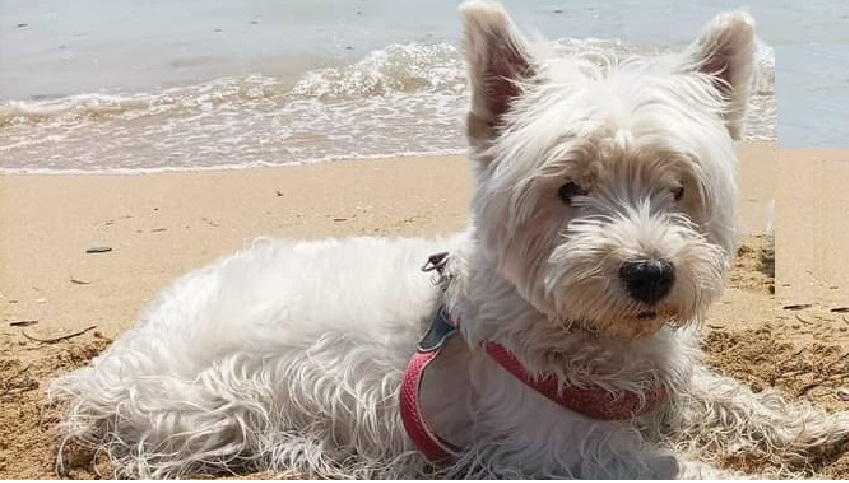 Immagine di WhatsApp Image 2023-12-06 at 14.07.41