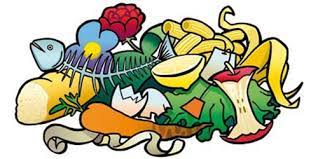 Immagine di RIFIUTI ORGANICIjpg